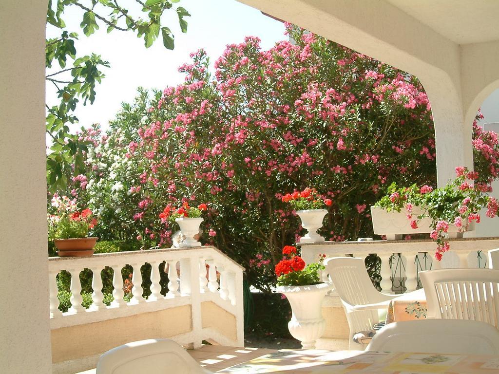 Guesthouse Mira Rab Town Extérieur photo